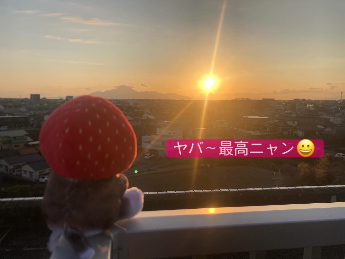 今日は夕日がきれいでしたのでご案内まで